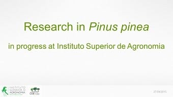 PINEA project -presentation-2015-04-27
